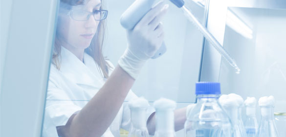 Product Research & Development